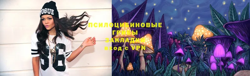 Псилоцибиновые грибы Magic Shrooms  наркошоп  Олонец 